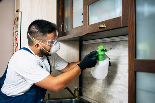 Best Affordable Pest Control Services  in East Missoula, MT