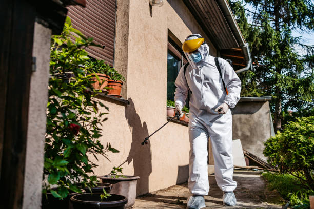 Best Residential Pest Control  in East Missoula, MT