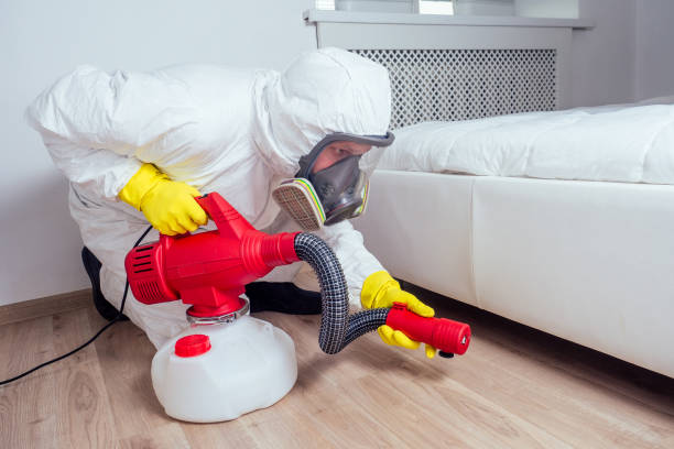 Best Pest Control for Homes  in East Missoula, MT