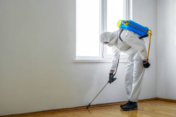 Pest Control for Restaurants in East Missoula, MT