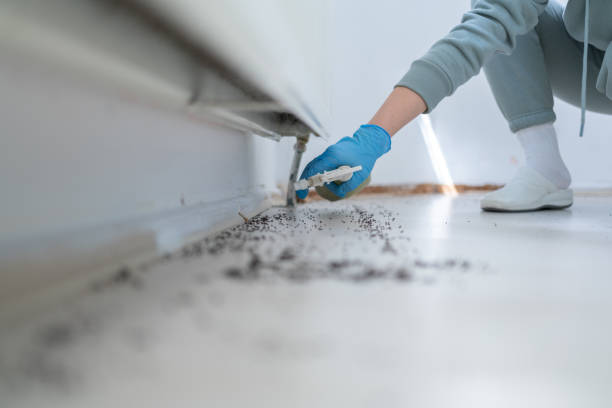 Best Exterminator Services  in East Missoula, MT