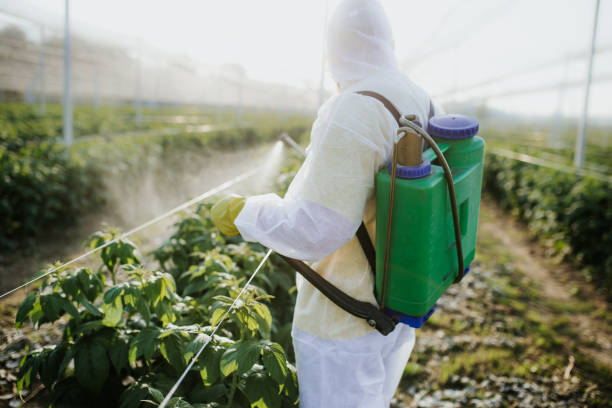 Professional Pest Control in East Missoula, MT